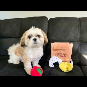 Dog toys. Scrunch lunch bag and 2 squeaky toys (dumpling+Rice)